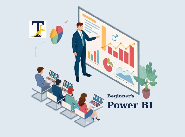 Beginner Power BI